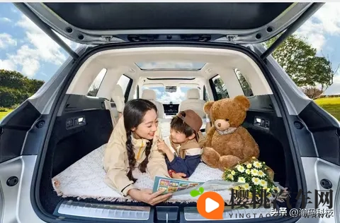 重磅!新能源车“免税时代”即将结束,2026年起购置税减半征收-1