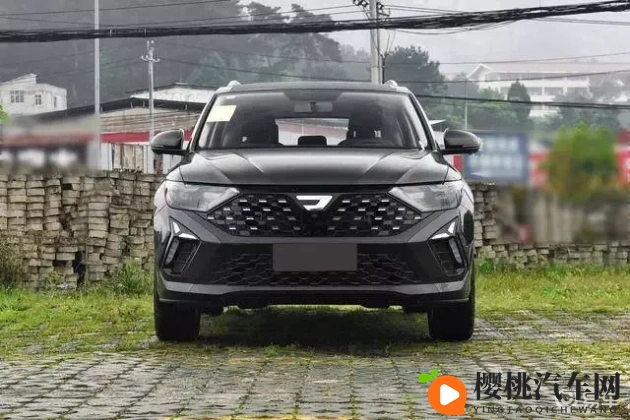 天天干天天玩:日复一日,乐在其中,工作娱乐两不误-1