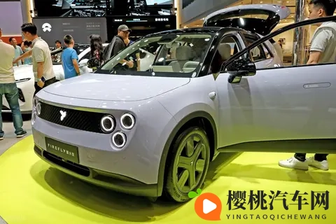 蔚来 “小老弟” 闯欧洲!萤火虫批量出海,从 MINI_Smart 手里抢蛋糕-3