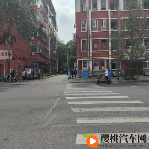 从斑马线礼让行人看路权之争:既是守法也是生存智慧-1