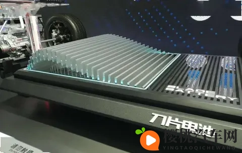 坚持磷酸铁锂的比亚迪,本质上是在维护行业声誉-3