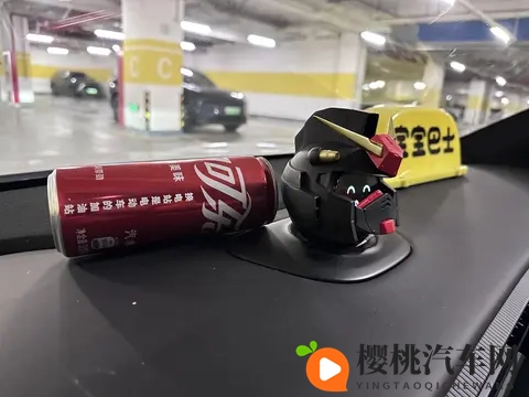 做蔚来车主也太幸福了吧~-1