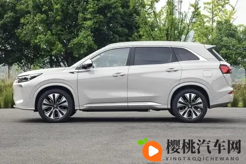 蓝电E5 PLUS:1公里1毛钱,七座大空间全家够坐-1