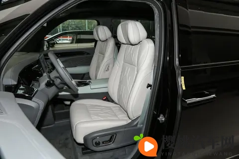 极氪 009：双十一给家人的豪华守护，适合家用的 MPV 选择-2