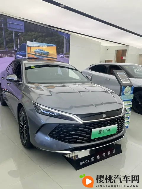 年度销量TOP10出炉,7款新能源霸榜,燃油车仅剩3席,时代真的变-1