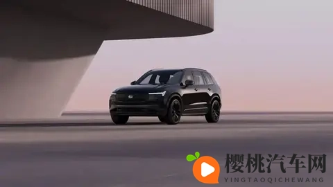 沃尔沃XC90暗夜版：拒绝“登”味-3