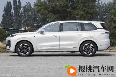 事业刚起步，手握 30 万，买深蓝 S09 还是等华为智选？-3