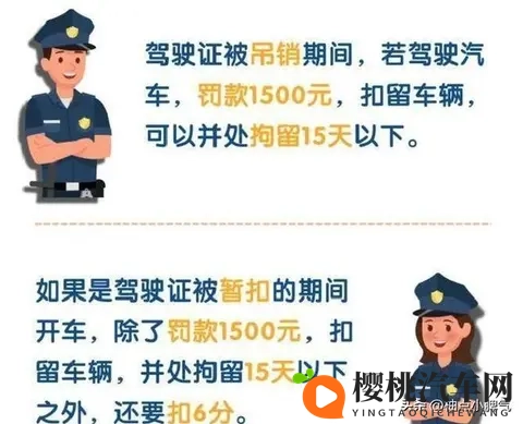 2025驾照新规，这样救回最省事-3