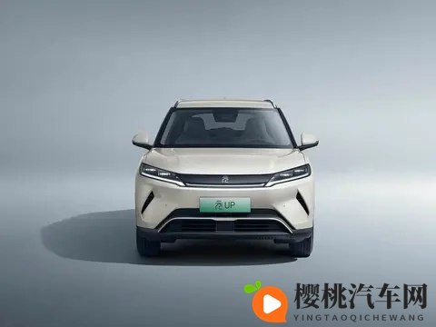 10万预算买纯电车,这五款“销量王”值得一看!-3