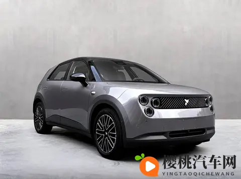 萤火虫又有新车型获得申报,换装高功率电机,售价多少合适-1