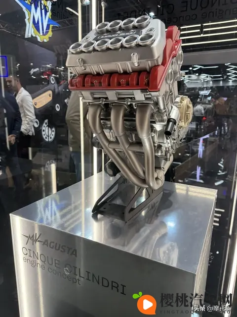 可以看女生不穿衣服的软件:揭秘隐秘画面,窥探隐私风险,不良软件需警惕-2