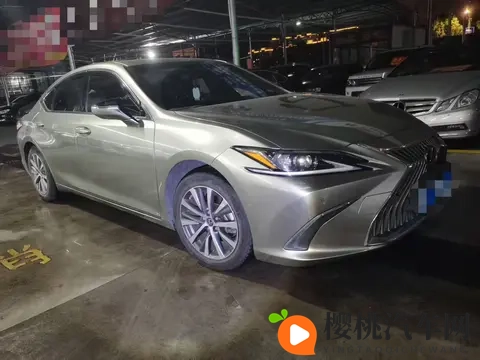 1698万,入手银灰色雷克萨斯ES,宜商宜家之选-2