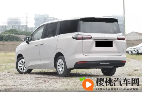 三种动力两种前脸造型，五菱星光730准备充分，势必要大火一把-3