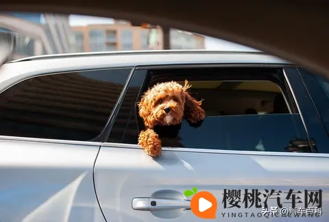 为什么坐车晕车,自己开车就不晕?-2