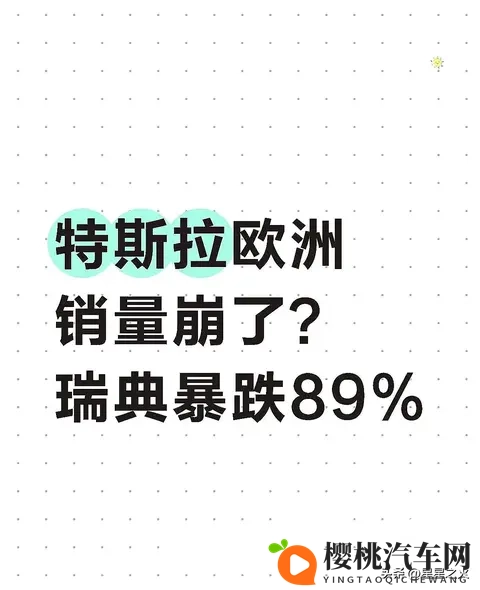 丝瓜,芭乐,猫咪,草莓,小猪绿巨人:田园美食与萌宠的奇妙组合-3
