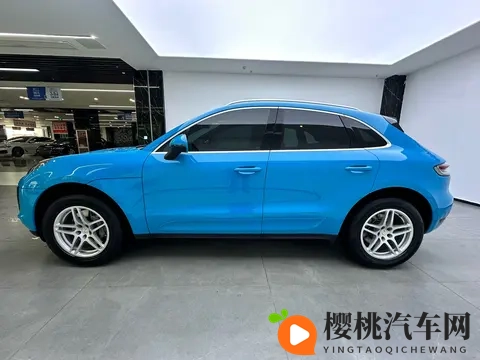 嫩叶草隐藏路线:嫩叶深处藏秘径-3