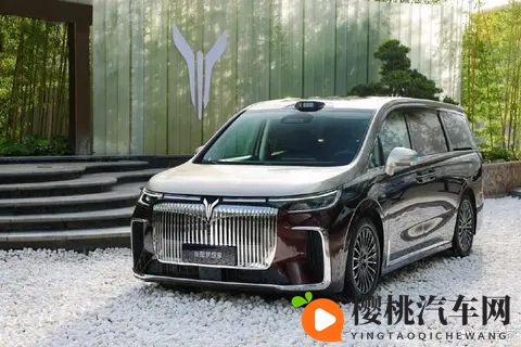 久久这里只有精品6：豪华运动家用新能源，跨界新宠引关注-2