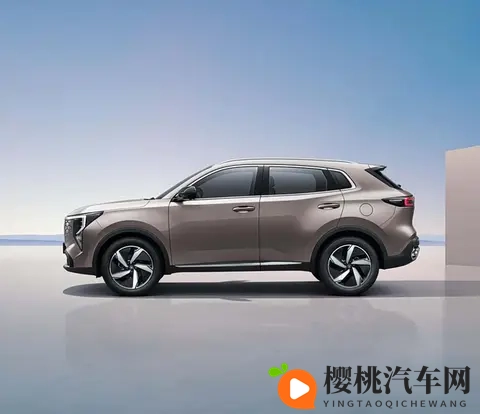 娇妻陪朋友拍婚纱照后续发展：汽车相伴，记录每一刻美好瞬间-2