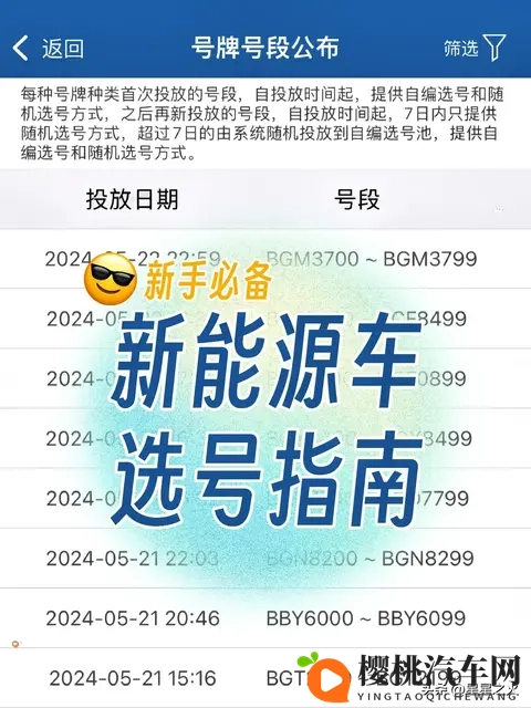 特斯拉新车主选号指南 🈯️ 新手必备-1