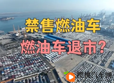 男女做事网站：新能源汽车崛起，自动驾驶成新潮流-3