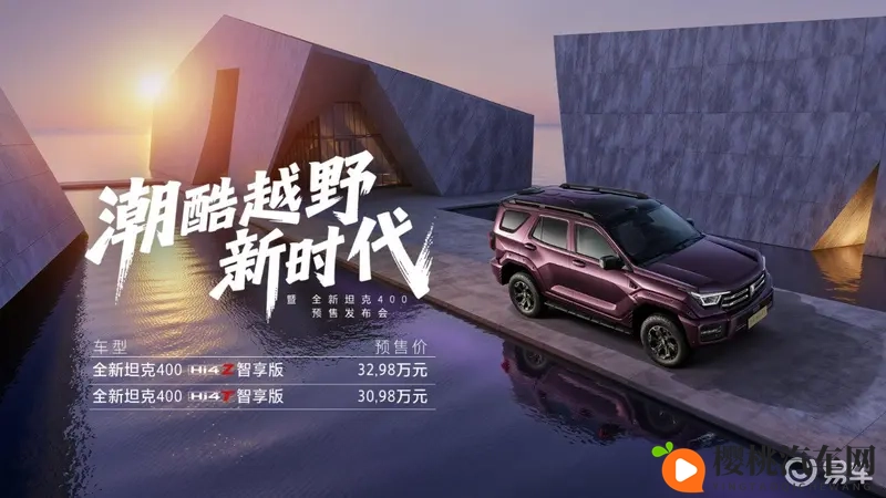 绿巨人污:环保新宠,500公里续航,7秒破百,新能源车型大揭秘-2