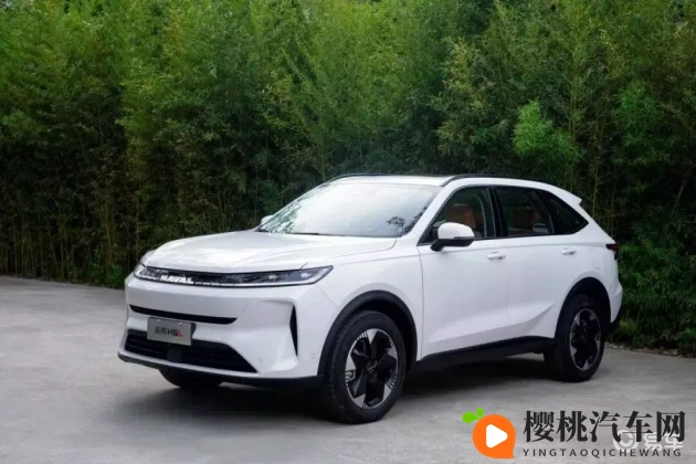 蜜臀久久99精品久久久酒店新书:《酒店新书热荐,久品蜜臀精选》-1