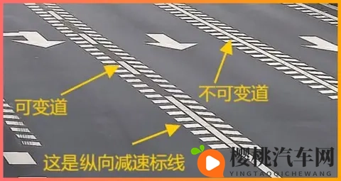 一小孩和妈妈摘萝卜还喊游戏：童趣盎然，母子齐摘萝卜欢声笑语-2