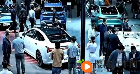 女人与藏獒交酡全过：女性与藏獒亲密接触全过程揭秘-1