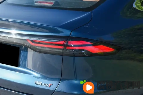 跨种族亚洲人与黑人:亚洲血统与非洲裔人群的交融-2