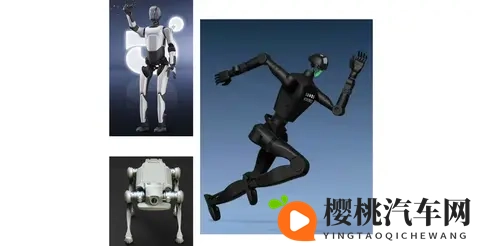 汽车Tier1的下一个十年,赌在机器人?-3