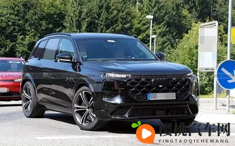 仙踪林company limited:神秘仙踪林,有限公司风采呈现-2