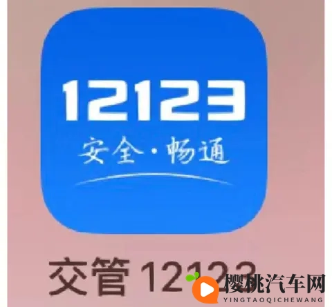 交管12123APP上线七项新服务，从上牌到驾考全面优化流程-2