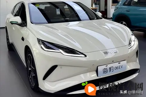 深度推算:比亚迪海豹06Ev成本7万,卖11万,经销商亏本的原因!-1