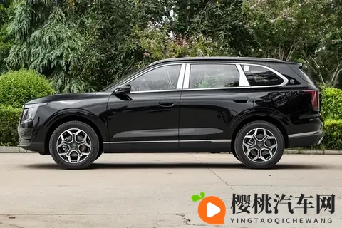 提车一个月,这台大七座SUV到底值不值?聊聊它的“硬核一面”-3