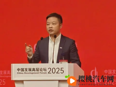 何小鹏说10年后中国汽车只剩5强和Others不少品牌老板听后背发凉-3