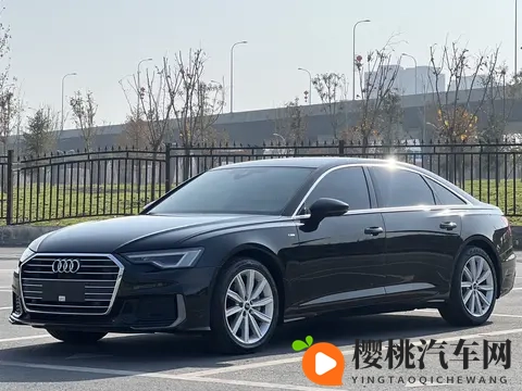 成人片AV:汽车革命:未来驾驶新体验-2