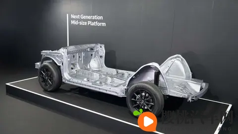 按摩师揉捏花蒂很舒服:现代汽车豪华体验:车内按摩革新舒适生活-3