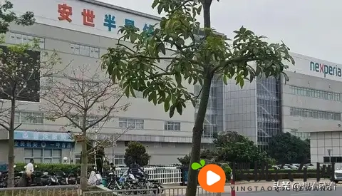 突发特讯!荷兰低头交还安世引国际哗然,严惩内鬼高层势在必行-3