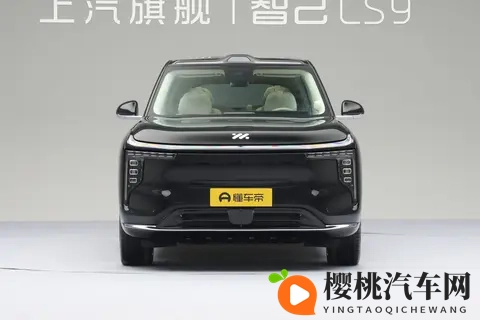 智己 LS9 正式上市,3228 万起售,竞争力够强吗?-2