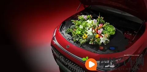 稀缺精选泄密色情黑料：独家揭秘：罕见色情黑幕资料精选-2