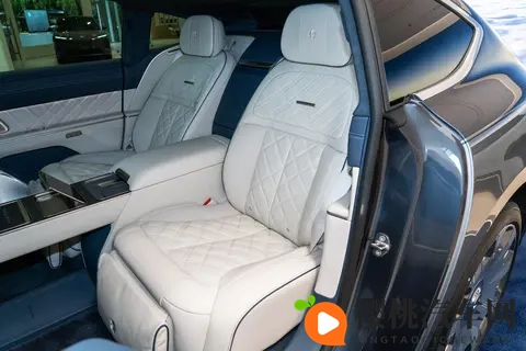 蔚来ET9地平线特别版：国产高端旗舰轿车，不输传统豪华车？-2