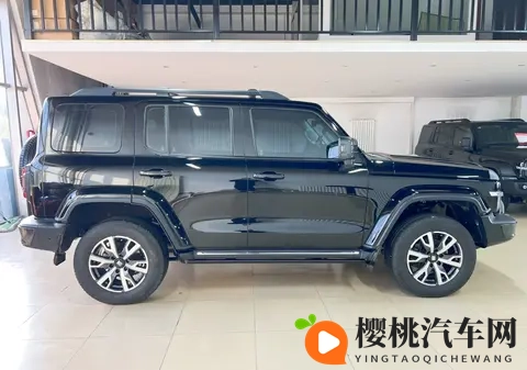 16万多拿下硬派越野!22年坦克300,圆你一个越野梦-3