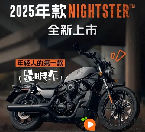 哈雷Nightster新款上市:复古基因与年轻化的双向奔赴-2