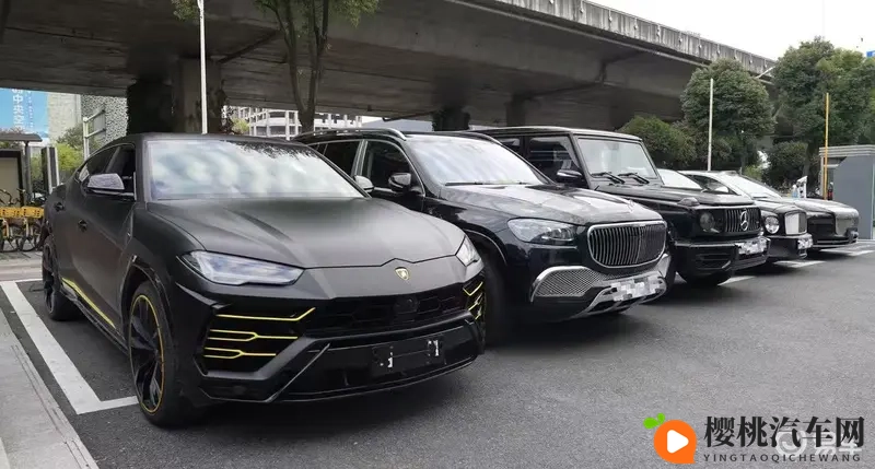 豪车车主挤爆岚图店!泰山引土豪竞折腰-1