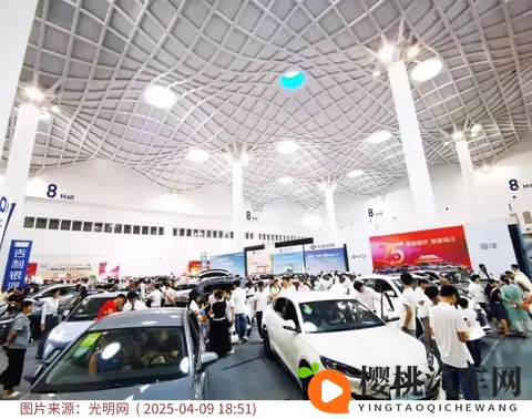 从全免到减半：购置税调整下的新能源车变局-1