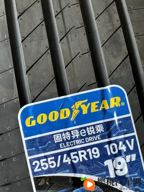 王伟忠和儿媳周莹回乡扫墓:豪华SUV引关注,传承家族文化温馨瞬间-2