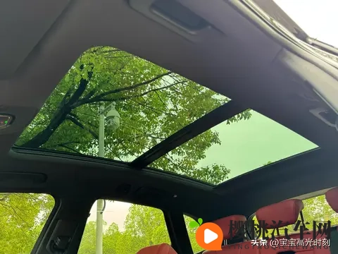 奥迪SQ5四十几万落地却乏人问津 燃油情怀撞上新能源浪潮全记录-3