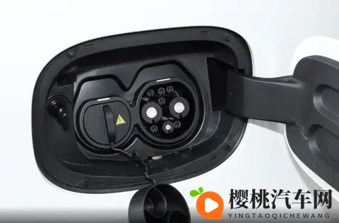 老卫淑蓉厨房激情:老厨师卫淑蓉,烹饪现场燃情四溢-2