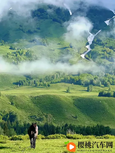 胸 啊 嗯～出水游戏：汽车互动新体验：沉浸式“出水”游戏，挑战极限乐趣-2