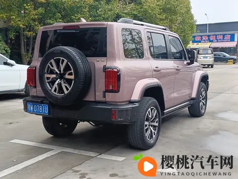 14万多拿下硬派越野！22年坦克300，圆你诗和远方-3